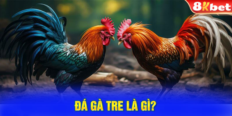 Đá gà tre là gì? 